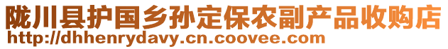 隴川縣護國鄉(xiāng)孫定保農副產品收購店