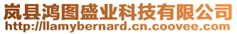 嵐縣鴻圖盛業(yè)科技有限公司