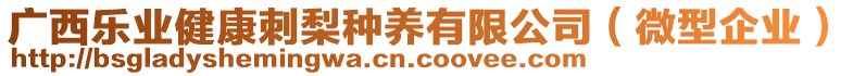 廣西樂業(yè)健康刺梨種養(yǎng)有限公司（微型企業(yè)）