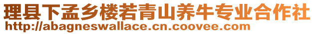 理縣下孟鄉(xiāng)樓若青山養(yǎng)牛專業(yè)合作社