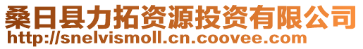 桑日縣力拓資源投資有限公司