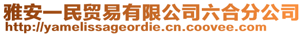 雅安一民貿(mào)易有限公司六合分公司