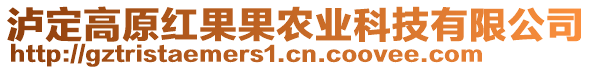 瀘定高原紅果果農(nóng)業(yè)科技有限公司