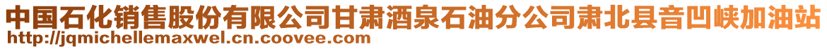 中国石化销售股份有限公司甘肃酒泉石油分公司肃北县音凹峡加油站