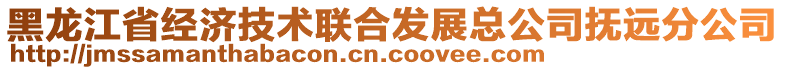 黑龍江省經(jīng)濟(jì)技術(shù)聯(lián)合發(fā)展總公司撫遠(yuǎn)分公司