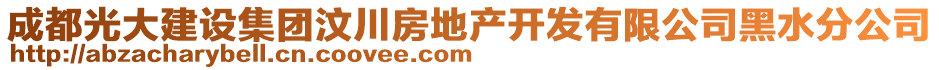 成都光大建設(shè)集團(tuán)汶川房地產(chǎn)開發(fā)有限公司黑水分公司