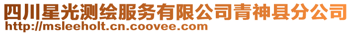 四川星光測繪服務(wù)有限公司青神縣分公司