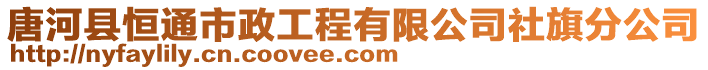 唐河縣恒通市政工程有限公司社旗分公司