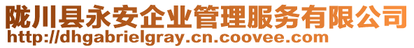 隴川縣永安企業(yè)管理服務(wù)有限公司