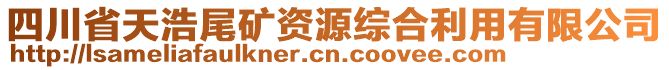 四川省天浩尾礦資源綜合利用有限公司