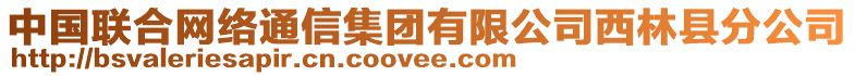 中國聯合網絡通信集團有限公司西林縣分公司