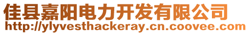 佳縣嘉陽(yáng)電力開發(fā)有限公司