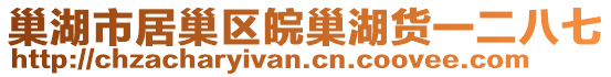 巢湖市居巢區(qū)皖巢湖貨一二八七