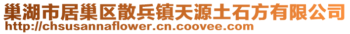 巢湖市居巢區(qū)散兵鎮(zhèn)天源土石方有限公司