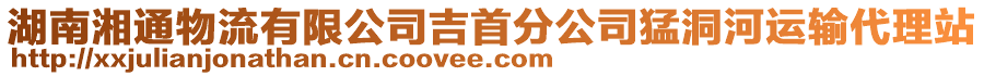 湖南湘通物流有限公司吉首分公司猛洞河運(yùn)輸代理站
