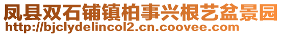 鳳縣雙石鋪鎮(zhèn)柏事興根藝盆景園