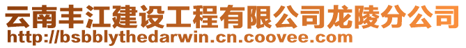 云南豐江建設工程有限公司龍陵分公司