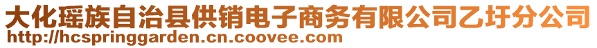 大化瑤族自治縣供銷電子商務(wù)有限公司乙圩分公司