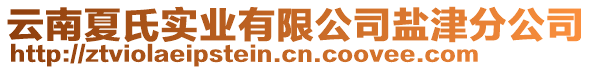 云南夏氏實(shí)業(yè)有限公司鹽津分公司