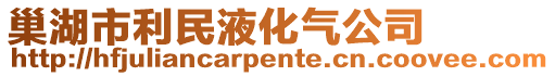 巢湖市利民液化氣公司