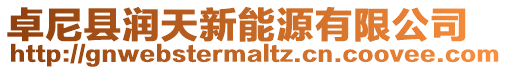 卓尼縣潤天新能源有限公司
