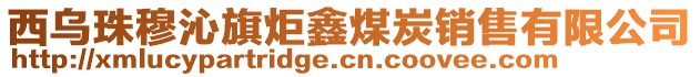 西乌珠穆沁旗炬鑫煤炭销售有限公司