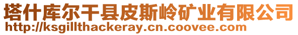 塔什庫爾干縣皮斯嶺礦業(yè)有限公司