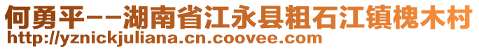 何勇平--湖南省江永縣粗石江鎮(zhèn)槐木村