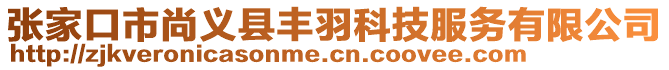 張家口市尚義縣豐羽科技服務(wù)有限公司