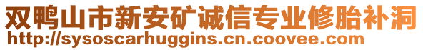 雙鴨山市新安礦誠信專業(yè)修胎補(bǔ)洞