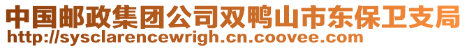 中國(guó)郵政集團(tuán)公司雙鴨山市東保衛(wèi)支局