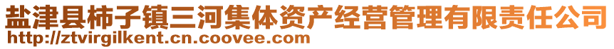 鹽津縣柿子鎮(zhèn)三河集體資產(chǎn)經(jīng)營(yíng)管理有限責(zé)任公司