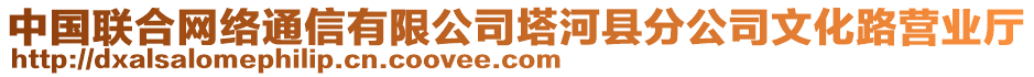 中國聯合網絡通信有限公司塔河縣分公司文化路營業廳