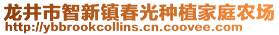 龙井市智新镇春光种植家庭农场