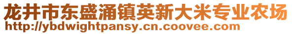 龙井市东盛涌镇英新大米专业农场