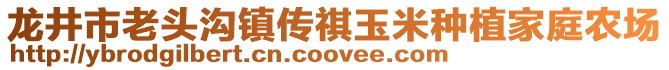 龍井市老頭溝鎮(zhèn)傳祺玉米種植家庭農(nóng)場(chǎng)