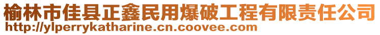 榆林市佳縣正鑫民用爆破工程有限責(zé)任公司