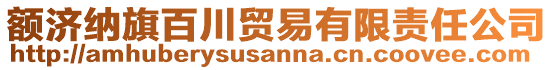 額濟(jì)納旗百川貿(mào)易有限責(zé)任公司