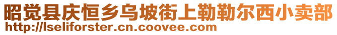 昭覺縣慶恒鄉(xiāng)烏坡街上勒勒爾西小賣部