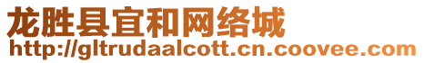 龍勝縣宜和網(wǎng)絡(luò)城