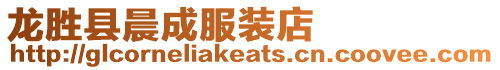 龍勝縣晨成服裝店