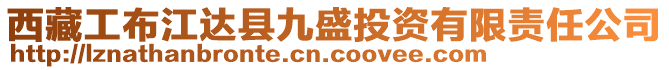 西藏工布江達(dá)縣九盛投資有限責(zé)任公司