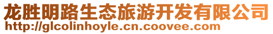 龍勝明路生態(tài)旅游開發(fā)有限公司