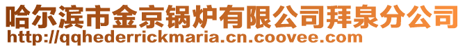 哈爾濱市金京鍋爐有限公司拜泉分公司