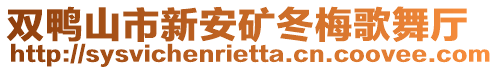 雙鴨山市新安礦冬梅歌舞廳