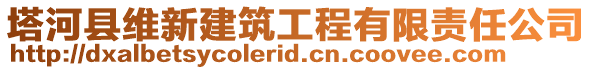塔河縣維新建筑工程有限責任公司
