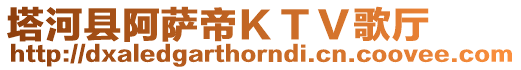 塔河縣阿薩帝ＫＴＶ歌廳