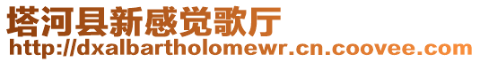 塔河縣新感覺歌廳