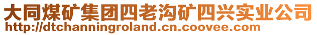 大同煤礦集團四老溝礦四興實業(yè)公司