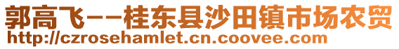 郭高飛--桂東縣沙田鎮(zhèn)市場農(nóng)貿(mào)